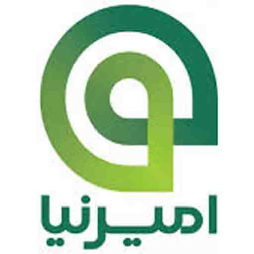 امیرنیا